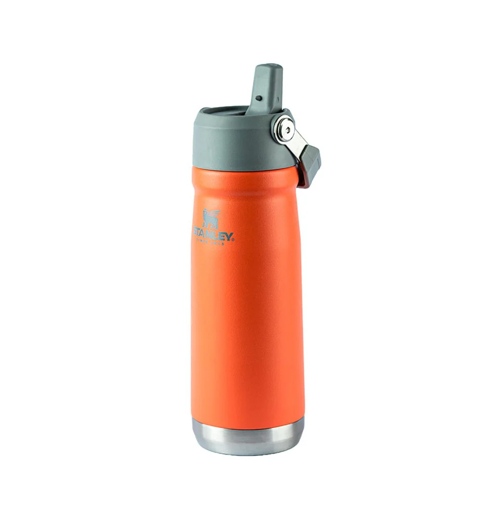 Garrafa Térmica Flip Straw Stanley Guava | 651ML - Image 3